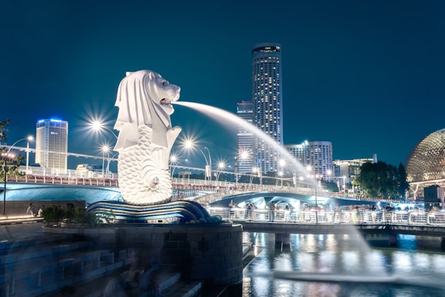 Singapore travel documents