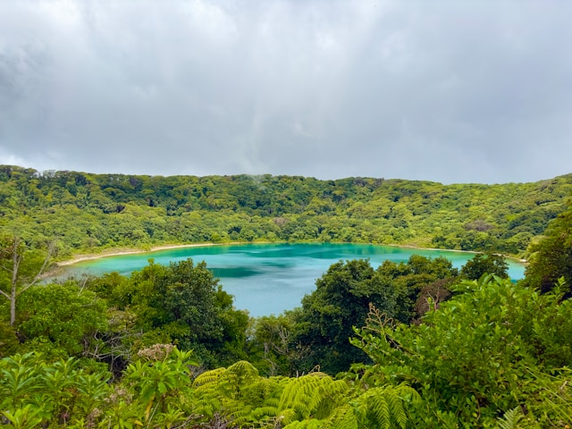 Driving in Tonga